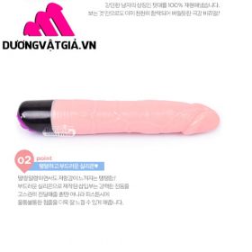 Dương Vật Giả Xoay Ngoáy Rung Giá Rẻ Jonew 08
