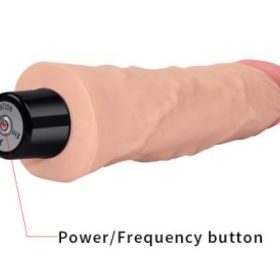 Dương Vật Giả 2 PIN Kayzomi - DV133 04